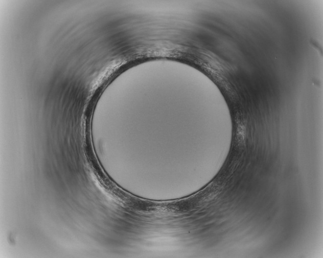 X0000102410678200808291508