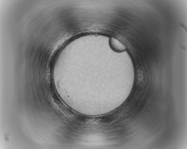 X0000102410680200808291508