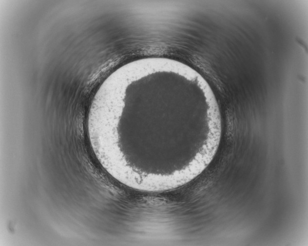 X0000102410681200808291508