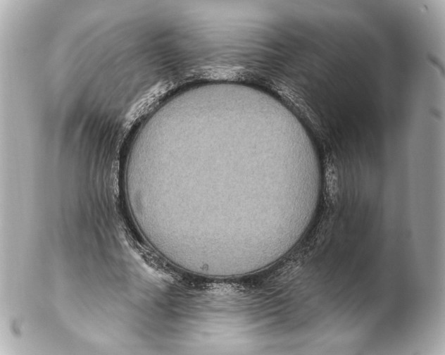 X0000102410682200808291508