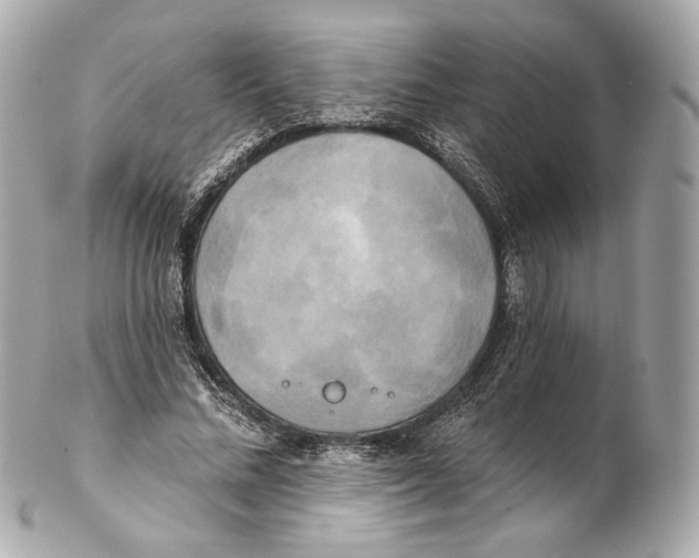 X0000102410684200808291508