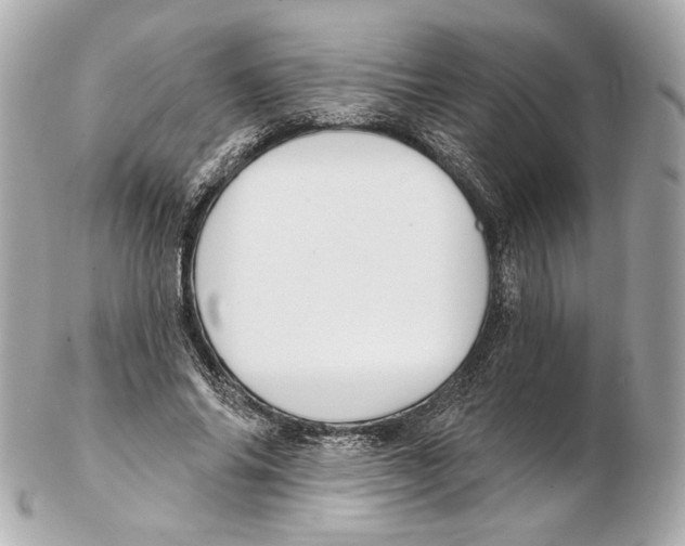 X0000102410686200808291508