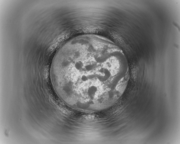 X0000102410687200808291508