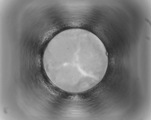 X0000102410688200808291508