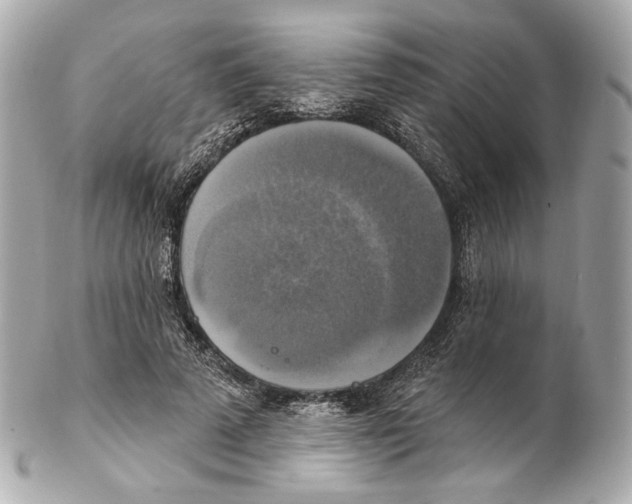 X0000102410689200808291508