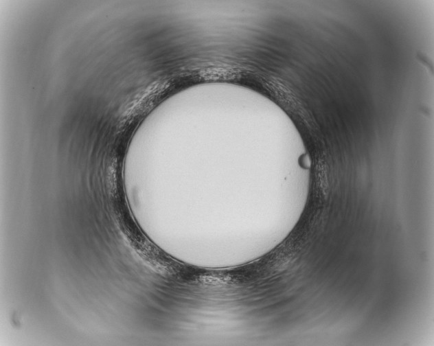 X0000102410690200808291508