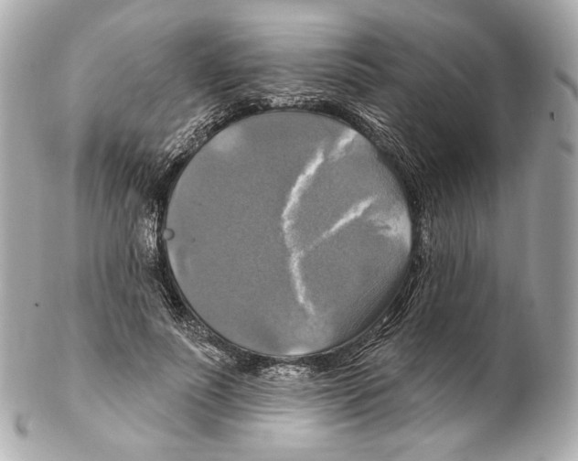 X0000102410691200808291508