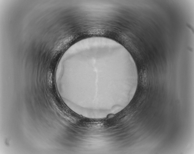 X0000102410692200808291508