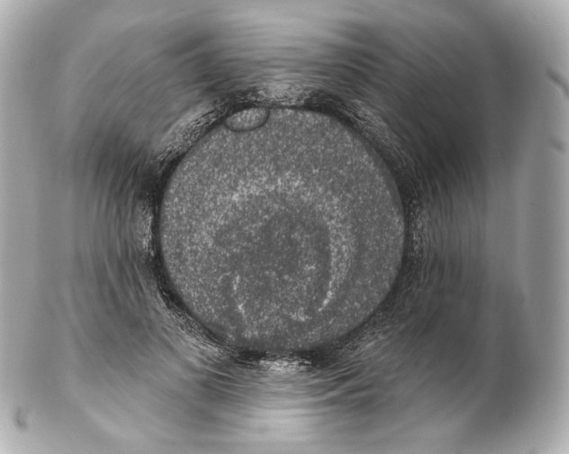 X0000102410693200808291508