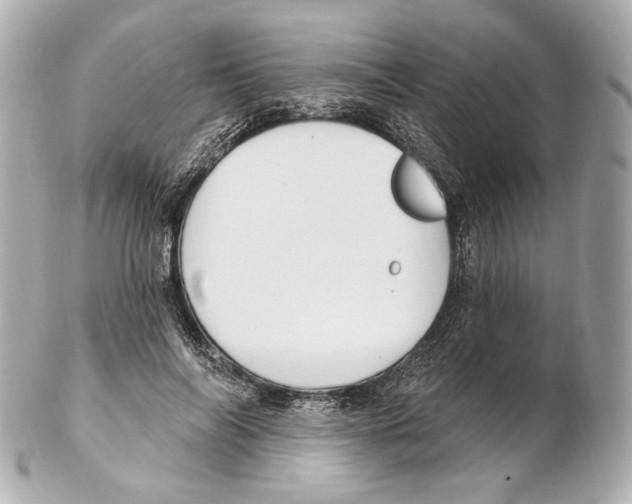 X0000102410694200808291508