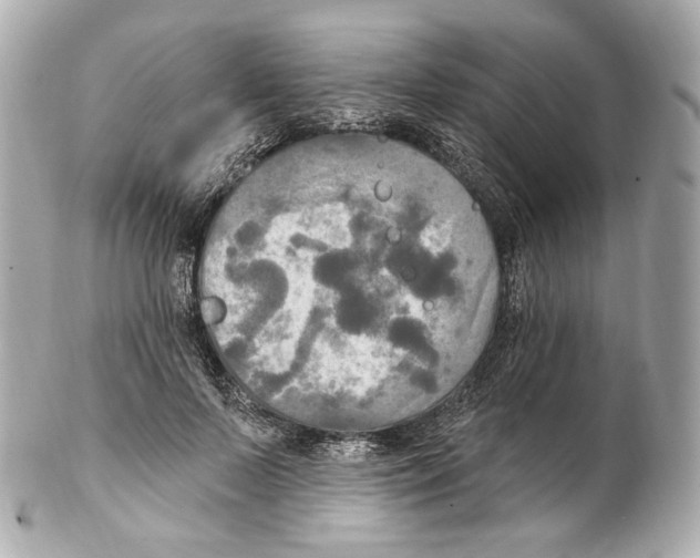 X0000102410695200808291508