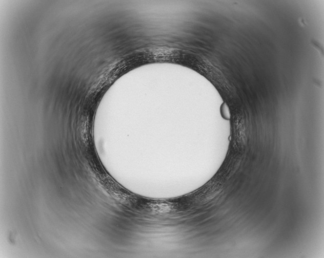 X0000102410698200808291508