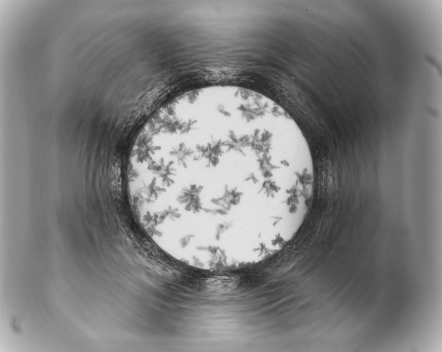 X0000102410700200808291508