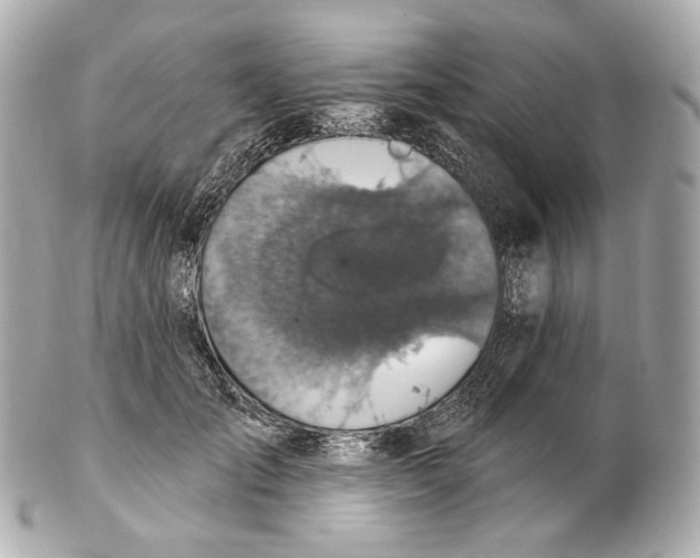 X0000102410701200808291508