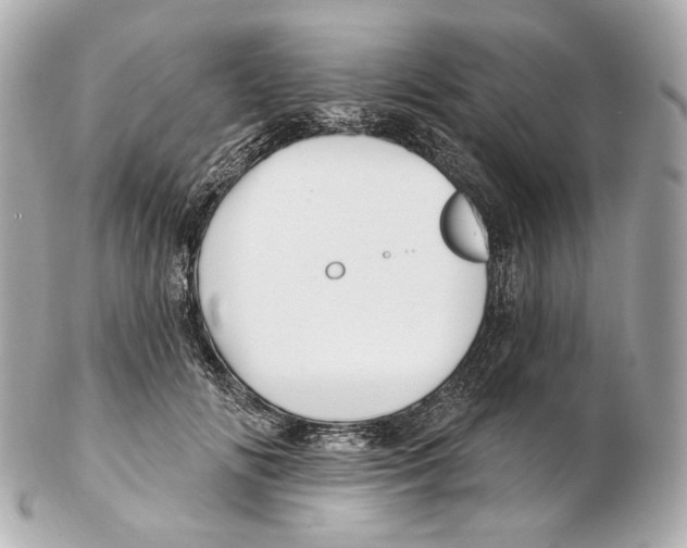 X0000102410702200808291508