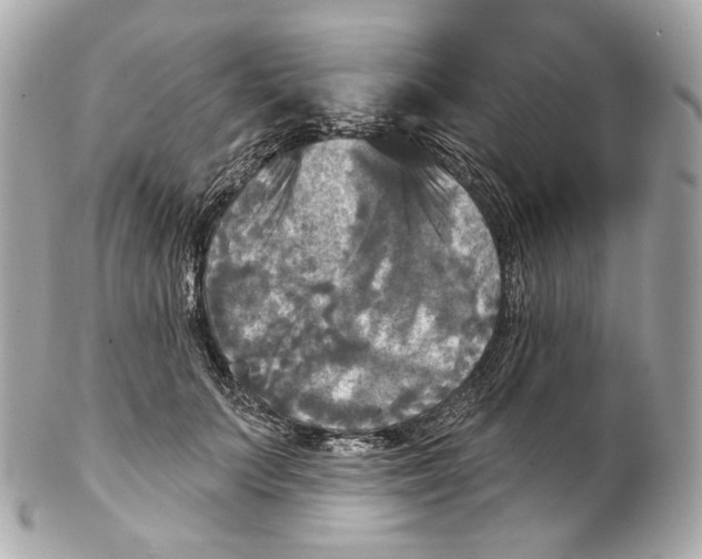 X0000102410703200808291508