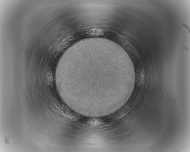 X0000102410704200808291508