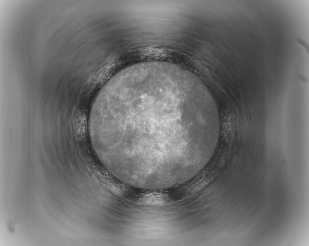 X0000102410708200808291508