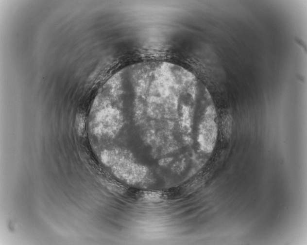 X0000102410709200808291508