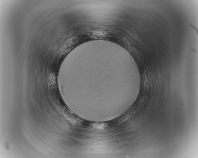 X0000102410711200808291508