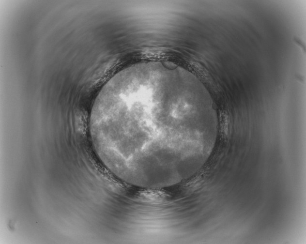 X0000102410712200808291508