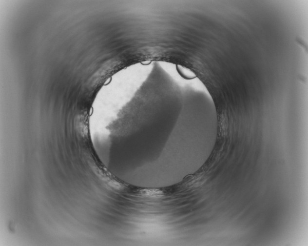 X0000102410719200808291507