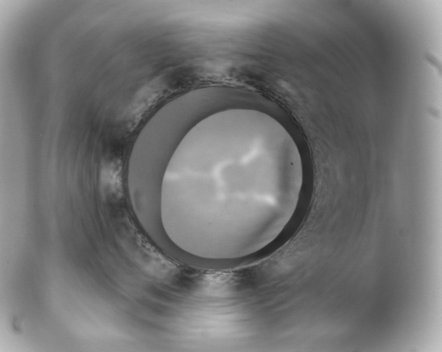 X0000102410720200808291507