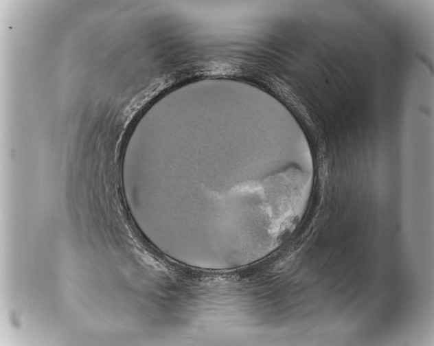 X0000102410721200808291507