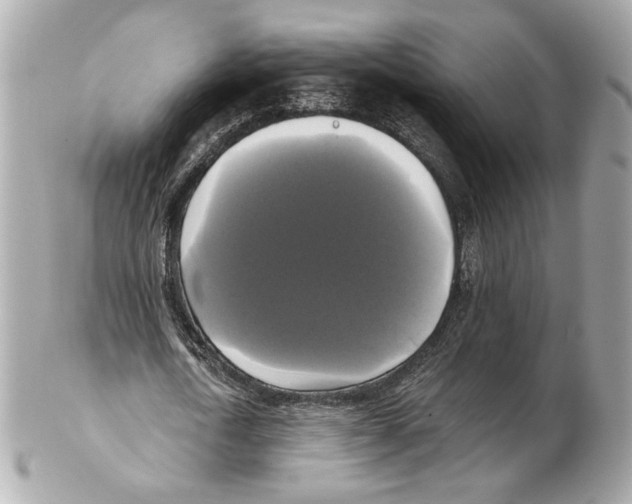 X0000102410722200808291507