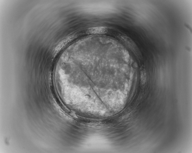 X0000102410725200808291507