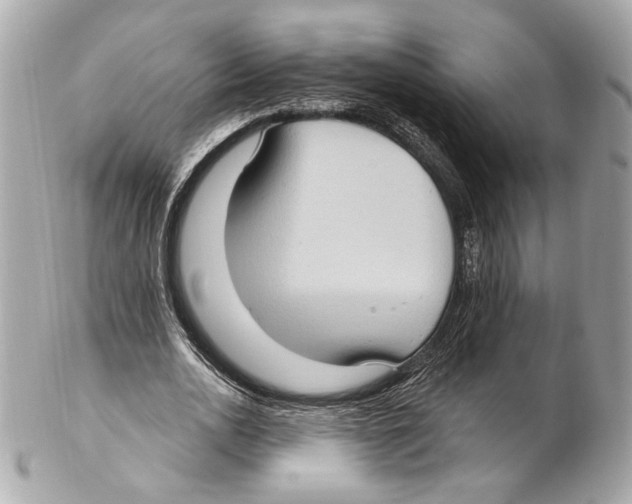 X0000102410726200808291507