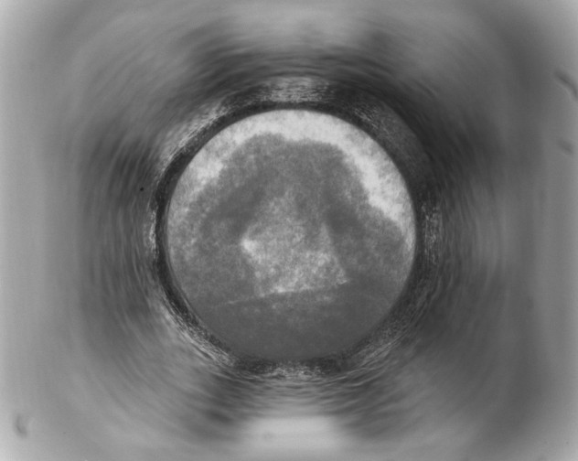 X0000102410727200808291507