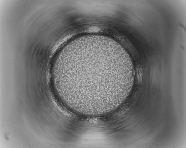 X0000102410728200808291507