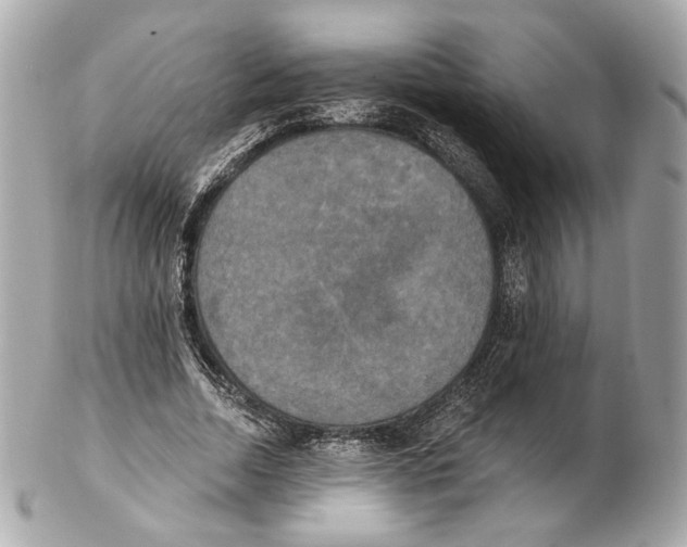 X0000102410730200808291507