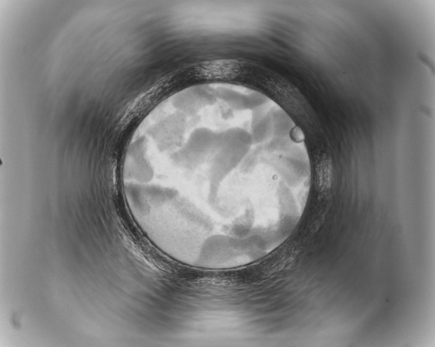 X0000102410733200808291507