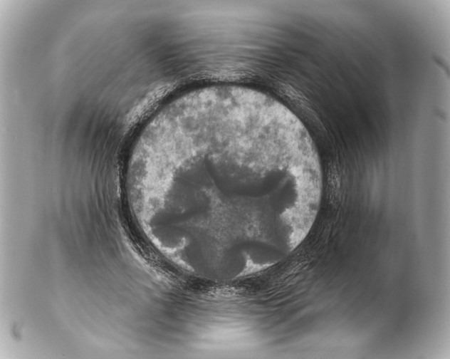 X0000102410734200808291507