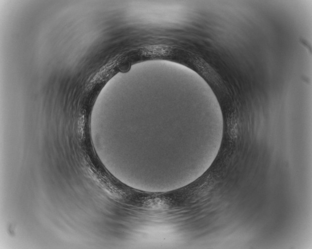 X0000102410735200808291507