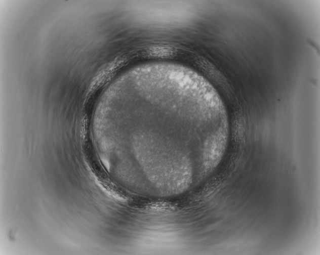 X0000102410736200808291507