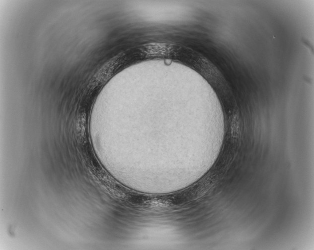 X0000102410737200808291507