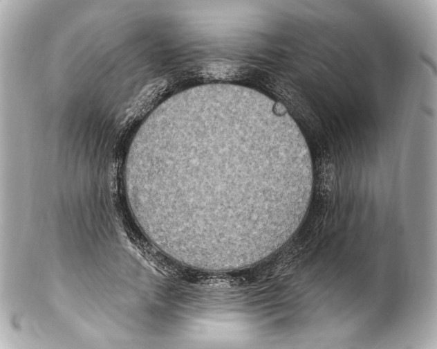 X0000102410738200808291507