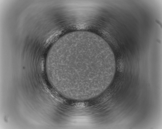 X0000102410740200808291507