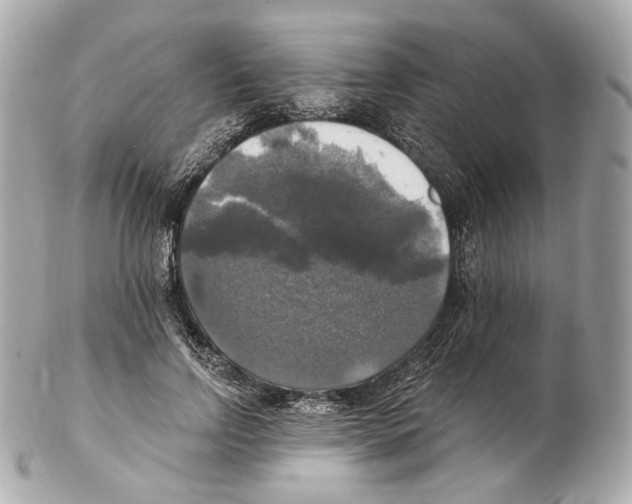 X0000102410742200808291507