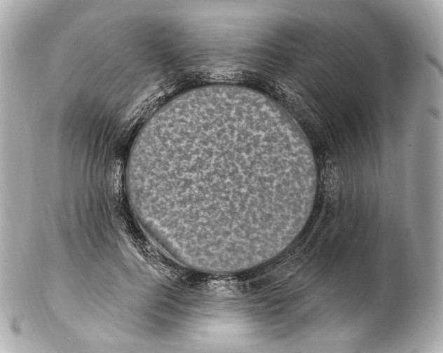 X0000102410744200808291507