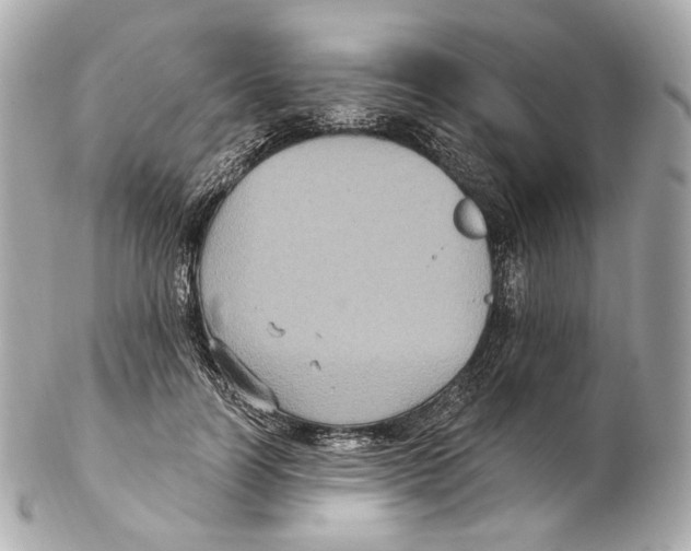 X0000102410746200808291507