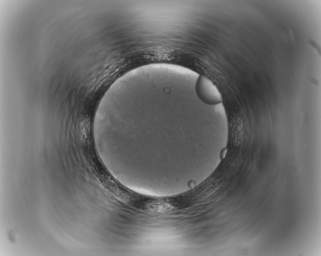 X0000102410747200808291507