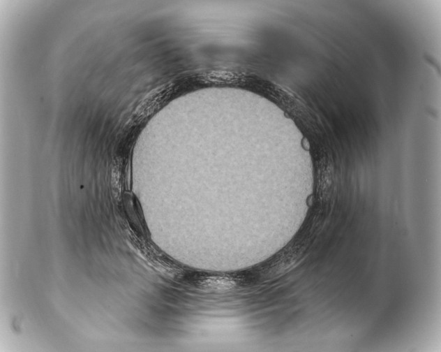 X0000102410749200808291507