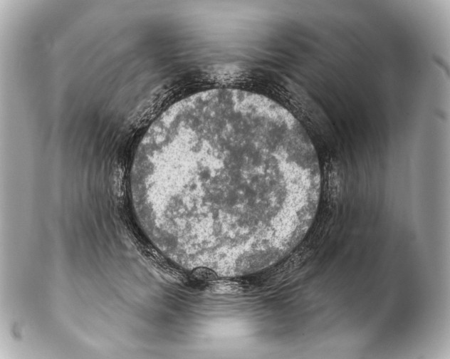 X0000102410750200808291507