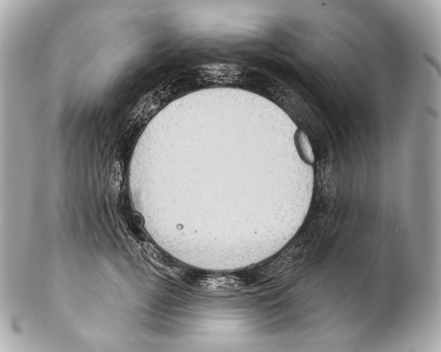 X0000102410752200808291507