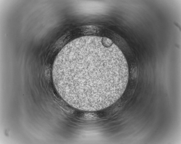 X0000102410753200808291507