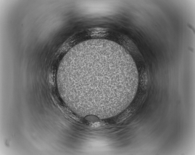 X0000102410755200808291507